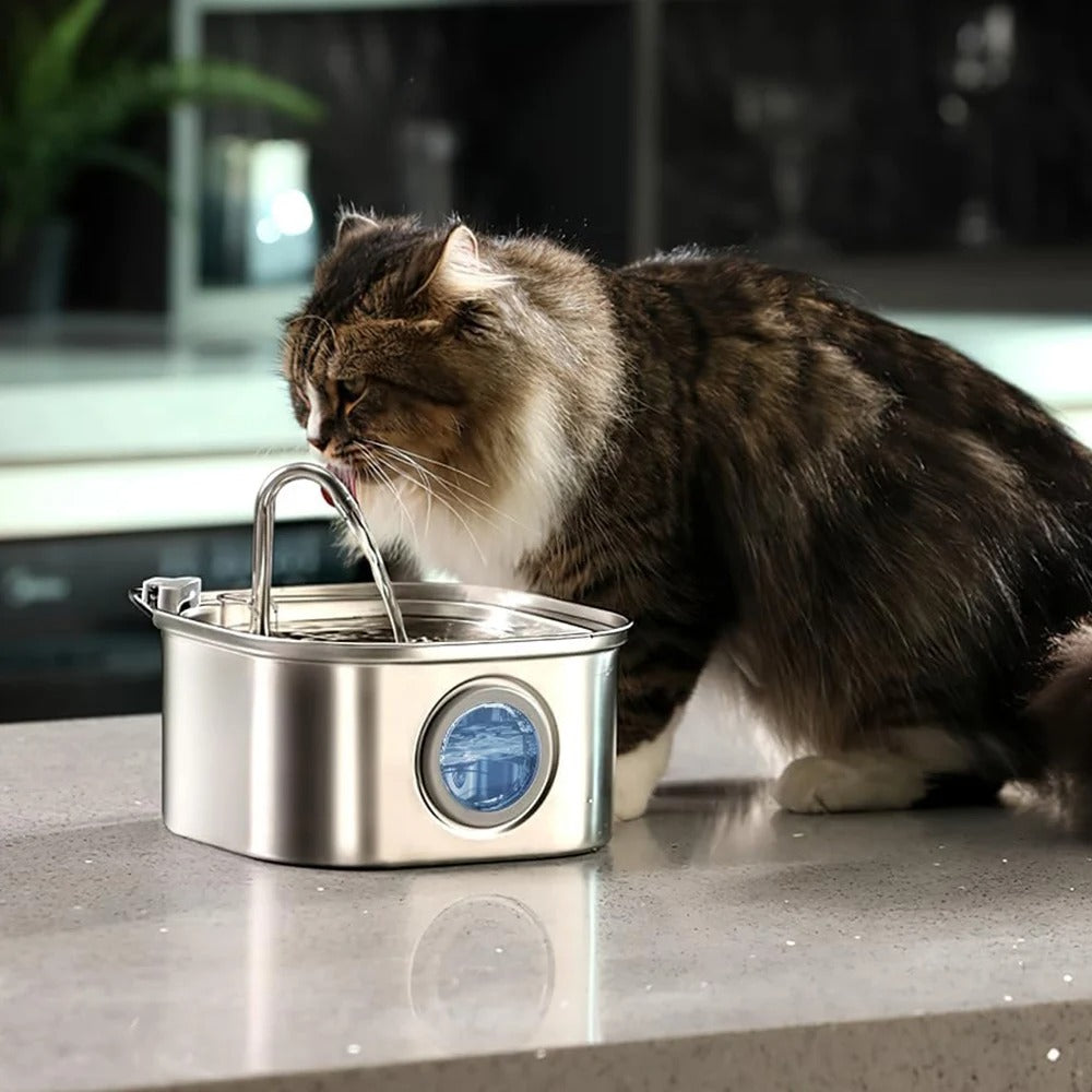 PurrVita