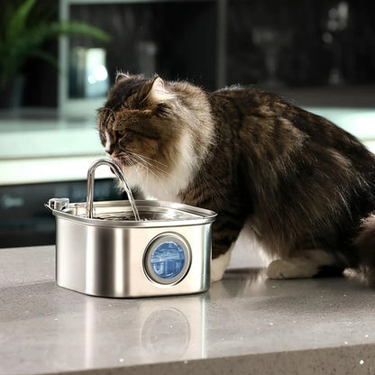 PurrVita